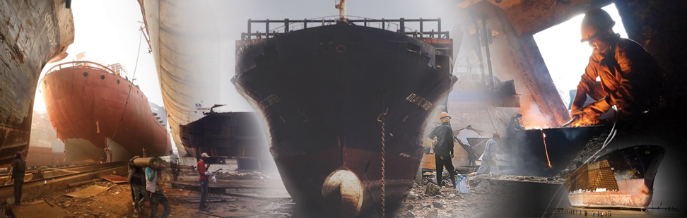 Mollah Shipping Image